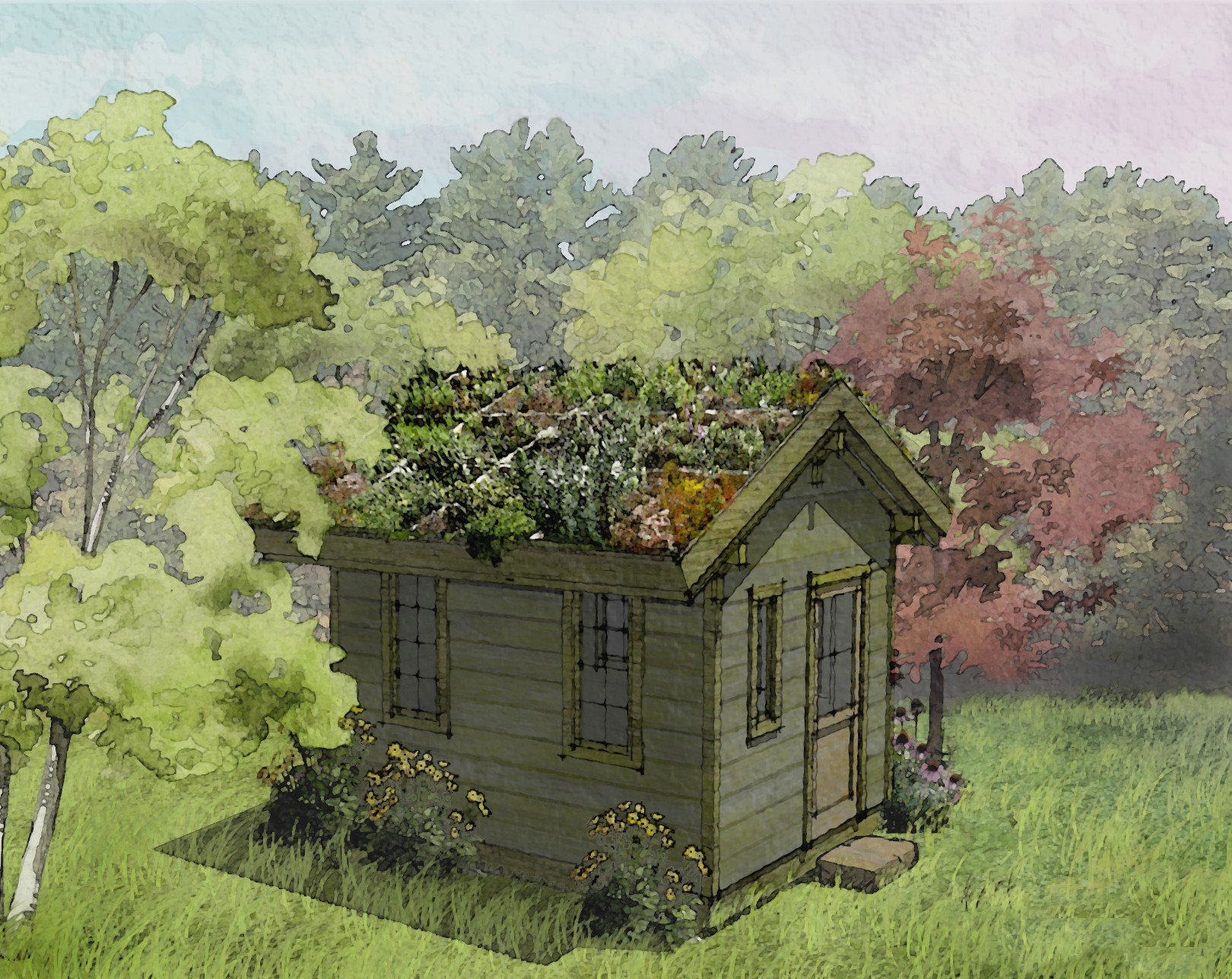 Garden Shed Green Roof
